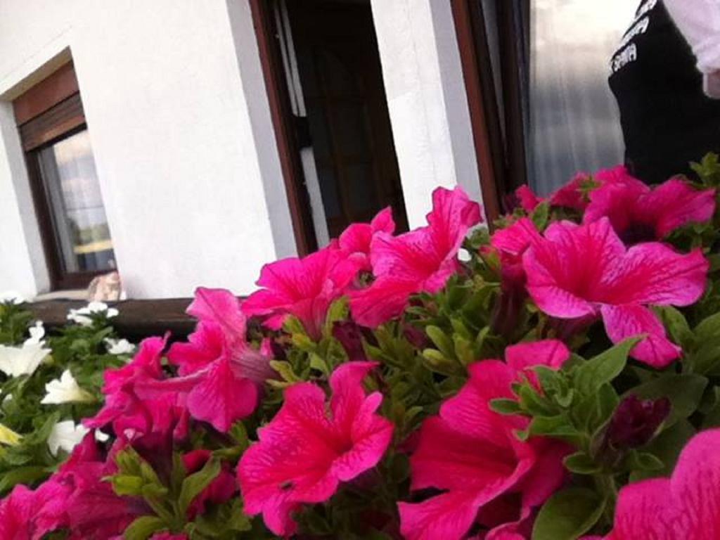 רקוביצה Guesthouse Magdalena חדר תמונה